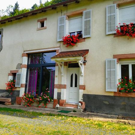 Апартаменты Le Logis Aux Digitales La Croix-aux-Mines Экстерьер фото