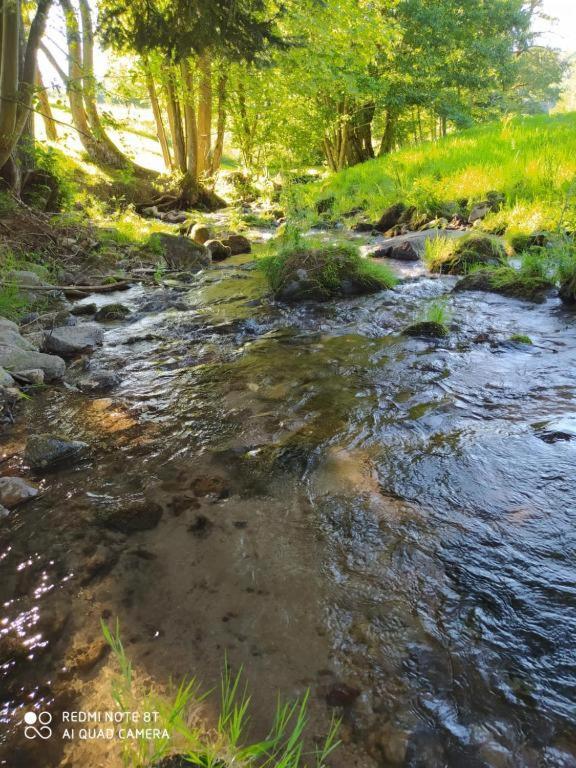 Апартаменты Le Logis Aux Digitales La Croix-aux-Mines Экстерьер фото