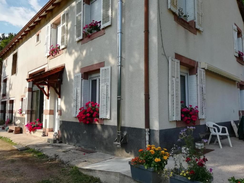 Апартаменты Le Logis Aux Digitales La Croix-aux-Mines Экстерьер фото