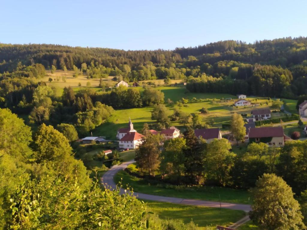 Апартаменты Le Logis Aux Digitales La Croix-aux-Mines Экстерьер фото